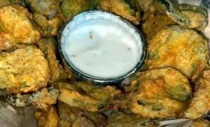 Appetizer Recipes